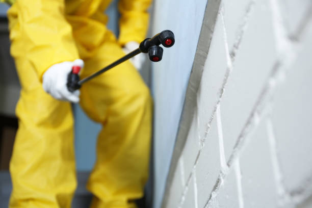 Pest Control for Hotels in Woodinville, WA